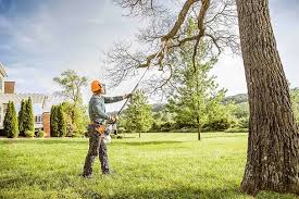 Trusted Malvern, PA  Tree Services Experts